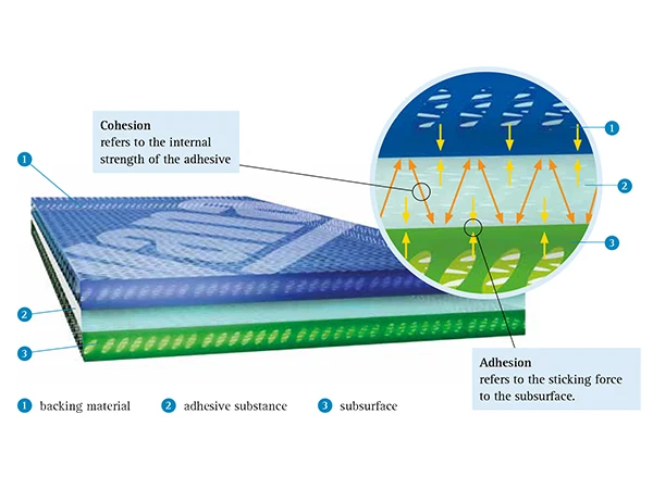 Adhesion and cohesion diagram
