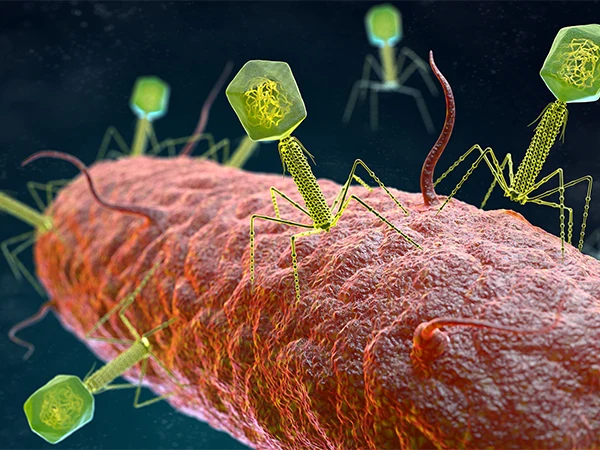 Antimicrobial agent under a microscope