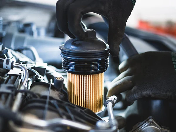 Replace eco-friendly fuel and oil filters