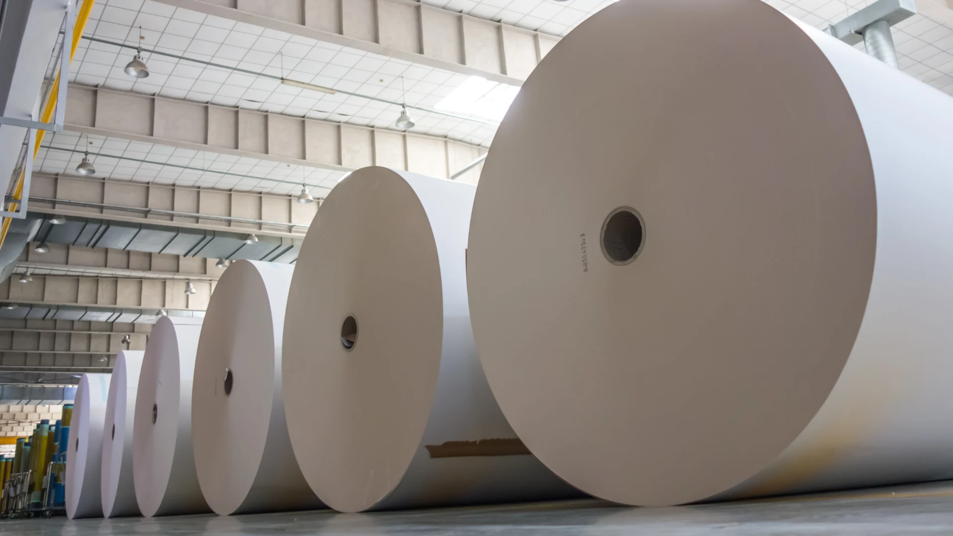 Rolls of filter paper in a warehouse