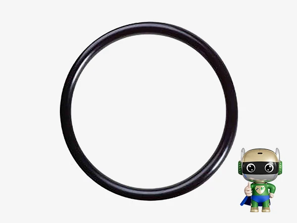 Rubber seal ring on a white background
