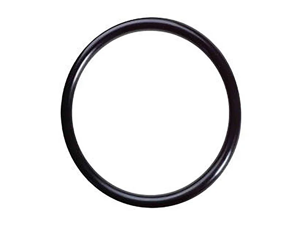 Rubber seal ring on a white background