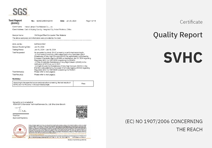 Single-Effect Composite Filter Material SVHC Report